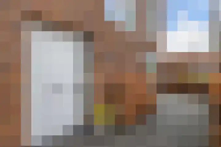 Maasland 38 Huizen thumbnail 8