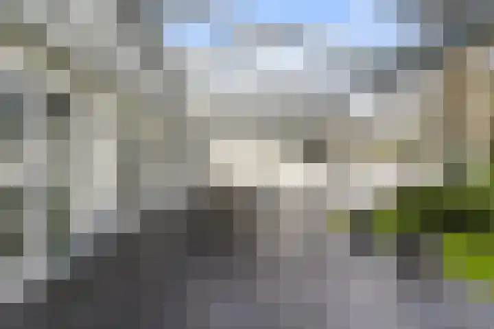 Maasland 40 Waalwijk thumbnail 31