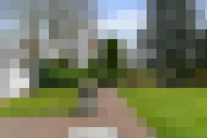 Maasland 40 Waalwijk thumbnail 33