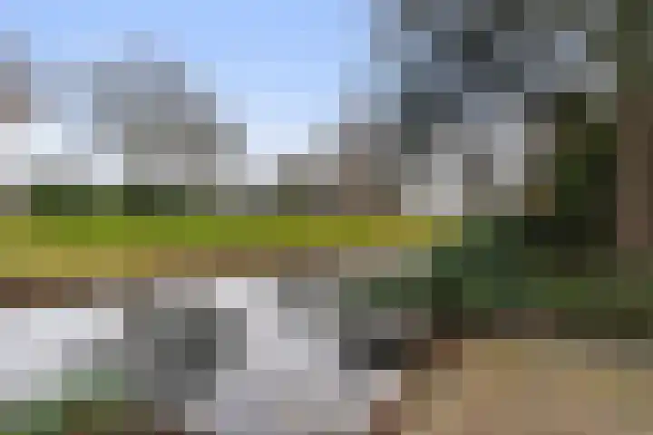 Maasland 40 Waalwijk thumbnail 36