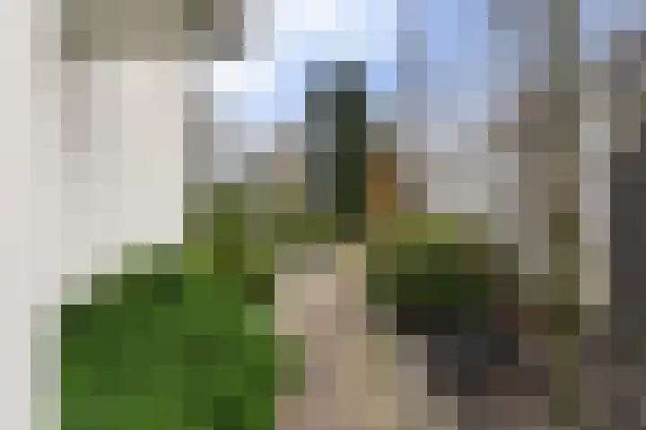 Maasland 40 Waalwijk thumbnail 37