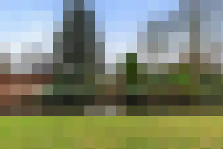 Maasland 40 Waalwijk thumbnail 41