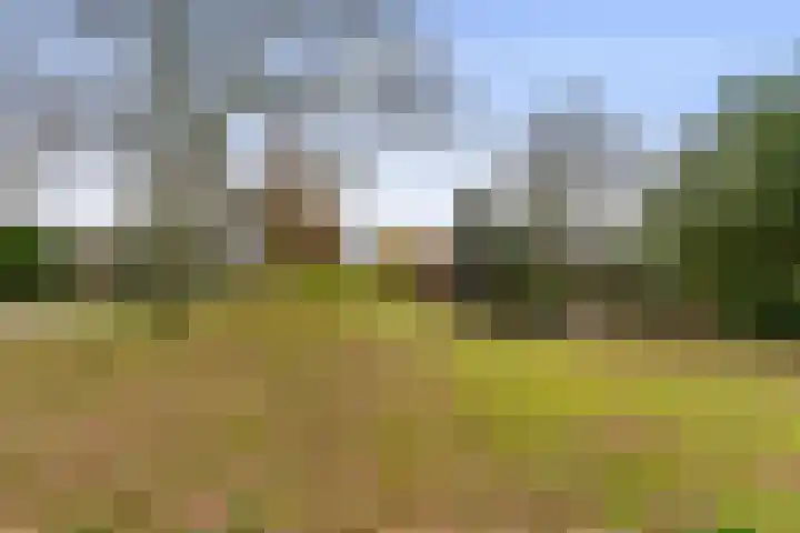 Maasland 40 Waalwijk thumbnail 44