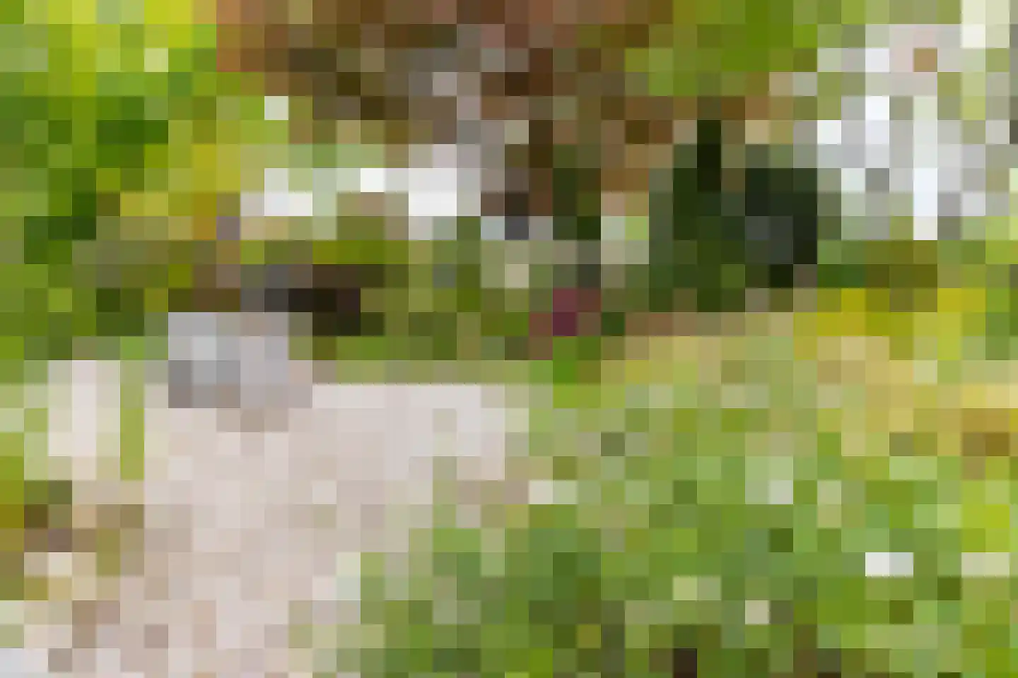 Maasland 43 Waalwijk thumbnail 38