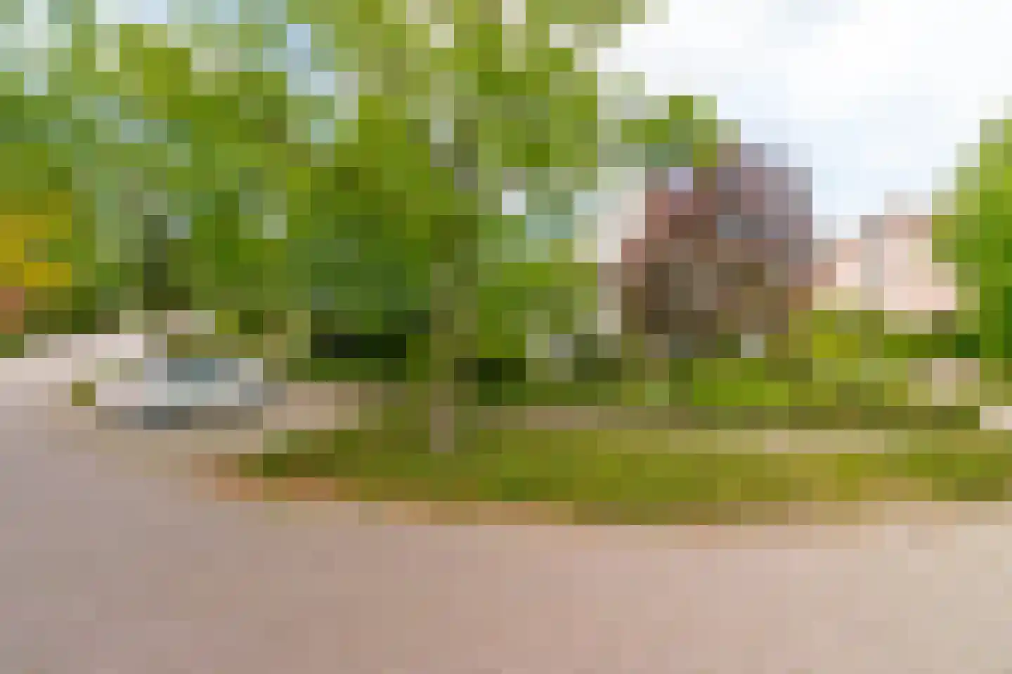 Maasland 43 Waalwijk thumbnail 5