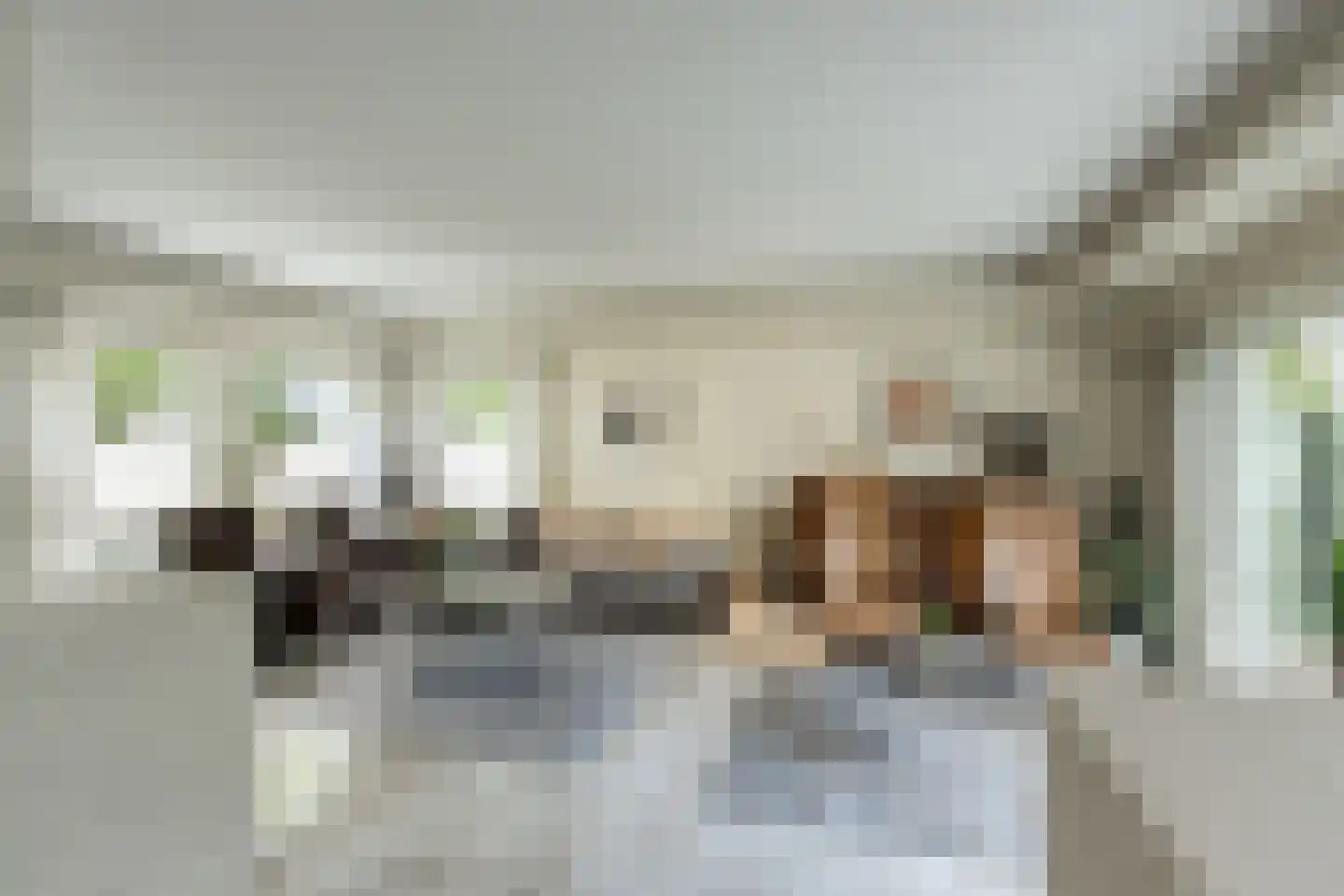 Maasland 43 Waalwijk thumbnail 7
