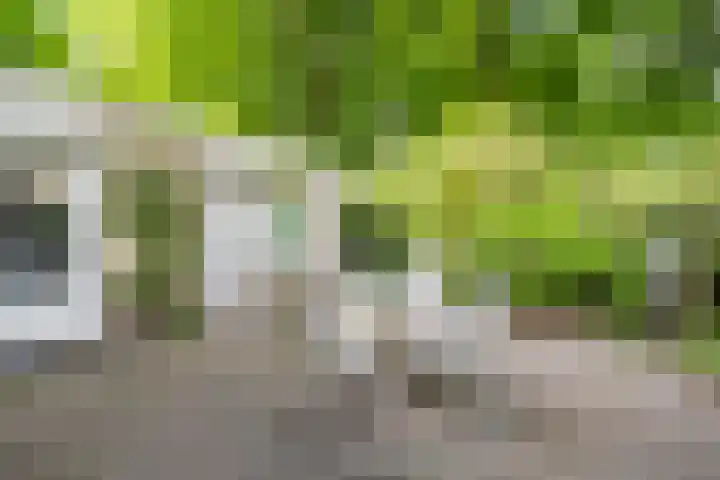Maasland 85 Waalwijk thumbnail 24