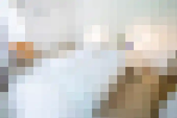 Maasland 85 Waalwijk thumbnail 28