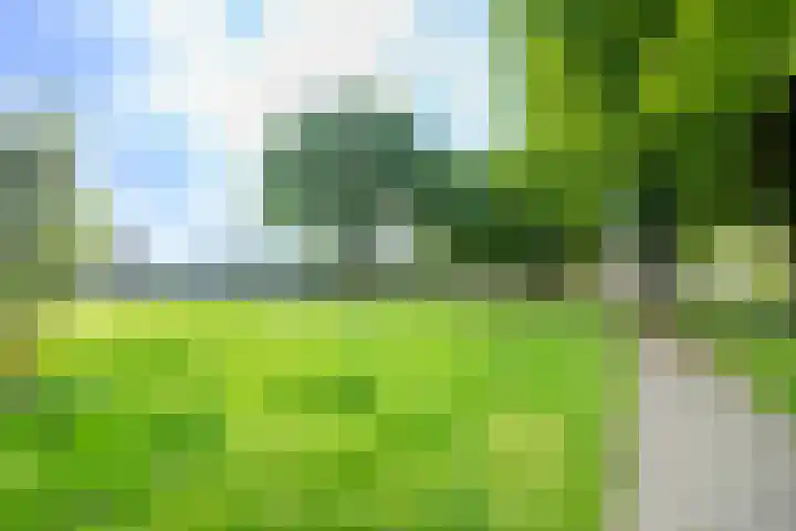 Maasland 85 Waalwijk thumbnail 36