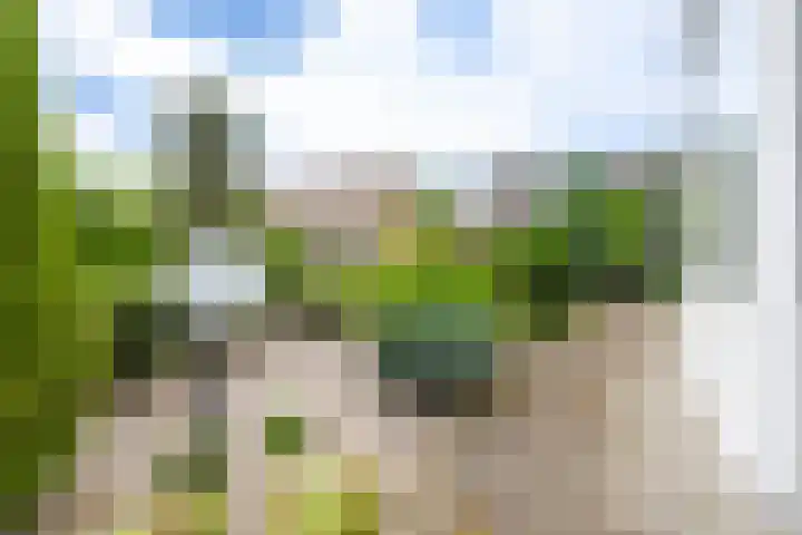 Maasland 85 Waalwijk thumbnail 37