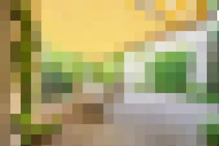 Maasland 85 Waalwijk thumbnail 4