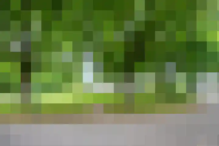 Maasland 85 Waalwijk thumbnail 5