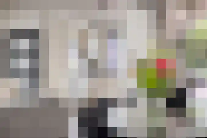 Maaslandhoeven 4 Rosmalen thumbnail 11