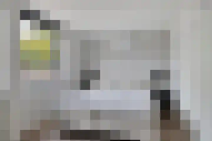 Maaslandhoeven 4 Rosmalen thumbnail 15