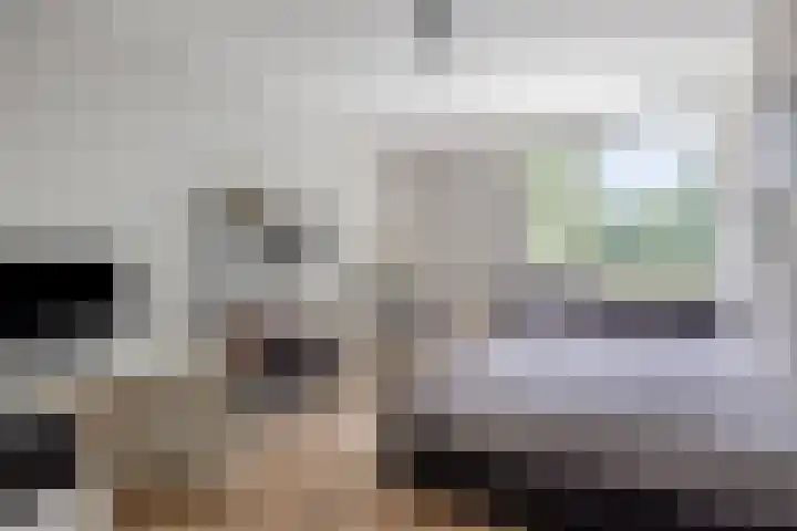 Maaslandhoeven 4 Rosmalen thumbnail 18