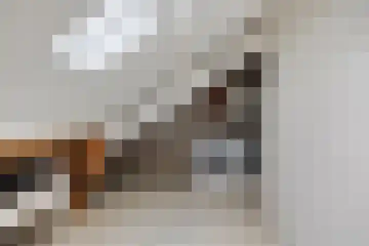 Maaslandhoeven 4 Rosmalen thumbnail 21
