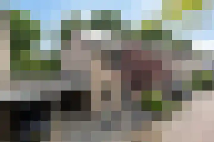 Maaslandhoeven 4 Rosmalen thumbnail 26