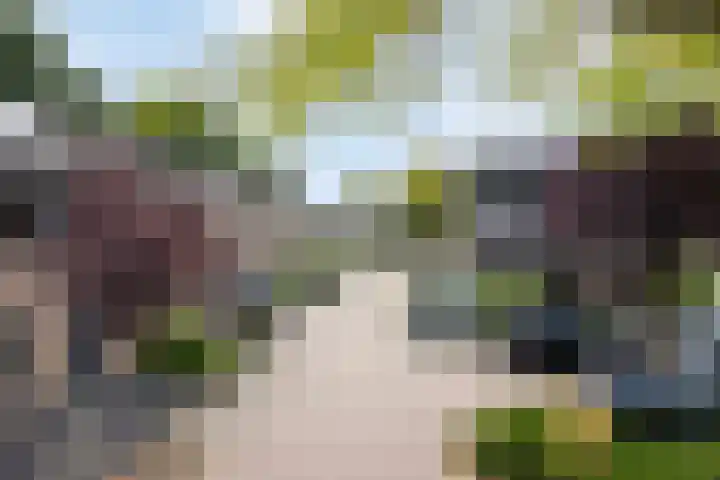Maaslandhoeven 4 Rosmalen thumbnail 27