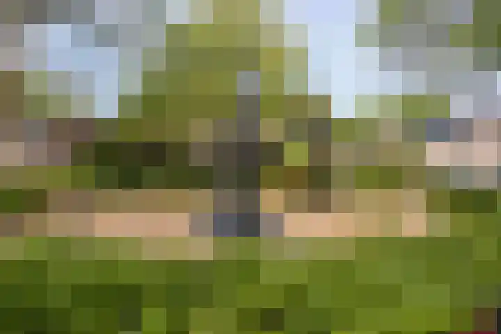Maaslandhoeven 4 Rosmalen thumbnail 28