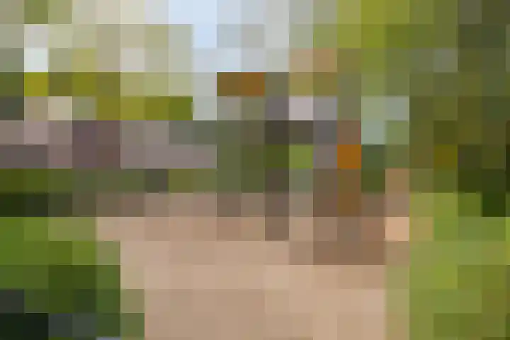 Maaslandhoeven 4 Rosmalen thumbnail 29