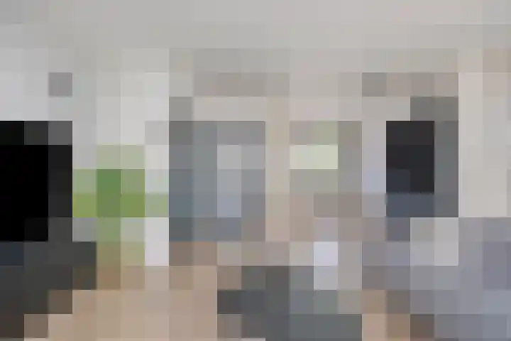 Maaslandhoeven 4 Rosmalen thumbnail 8