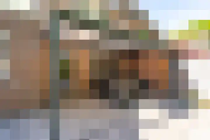Maaslandhoeven 5 Rosmalen thumbnail 24