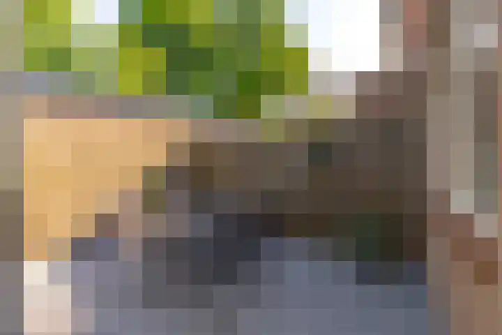 Maaslandhoeven 5 Rosmalen thumbnail 28