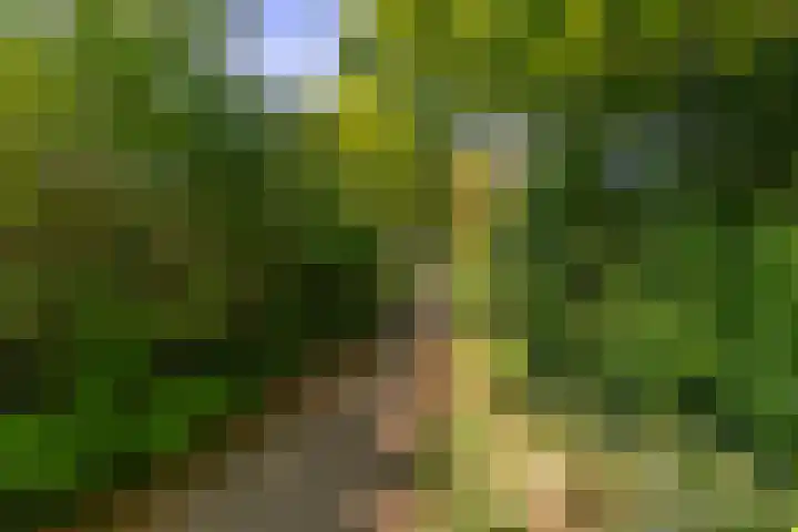 Maaslandhoeven 5 Rosmalen thumbnail 30