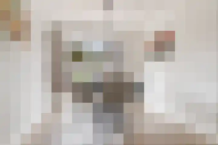 Maaslandhoeven 5 Rosmalen thumbnail 5