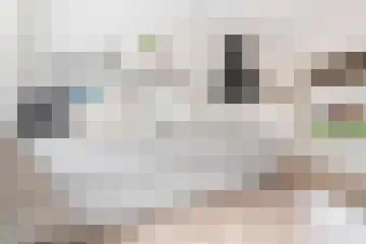 Maaslandhoeven 5 Rosmalen thumbnail 7