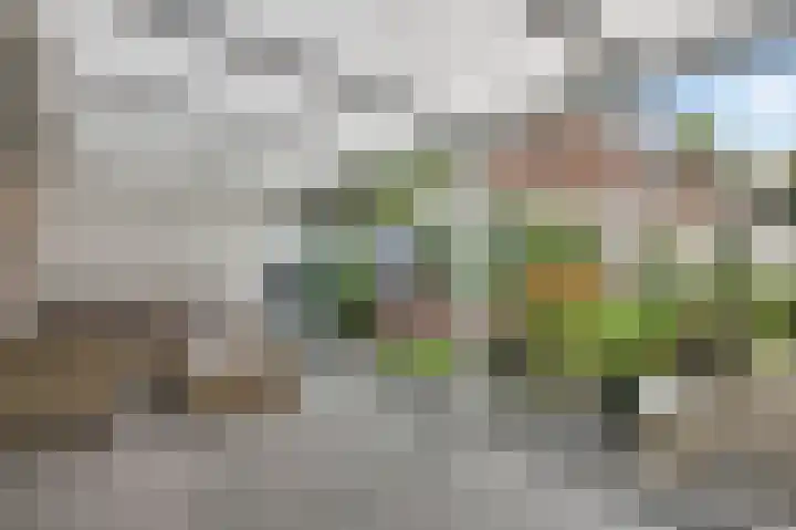 Maaslandlaan 62 Weert thumbnail 15