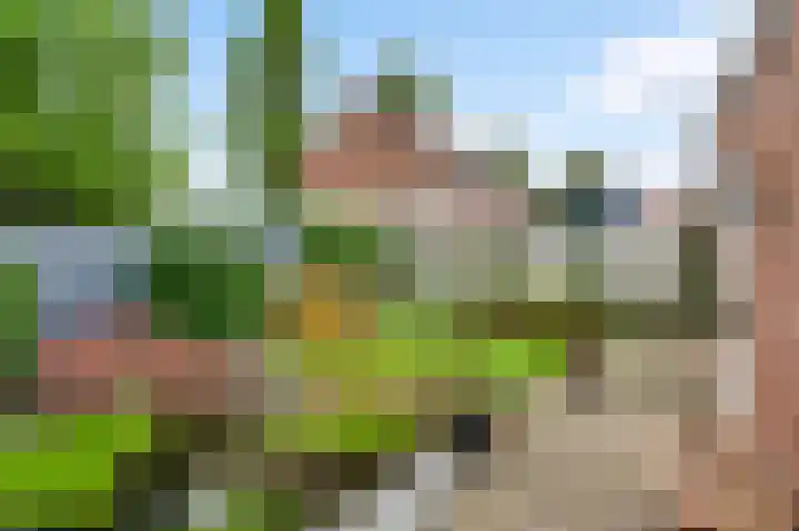 Maaslandlaan 62 Weert thumbnail 29