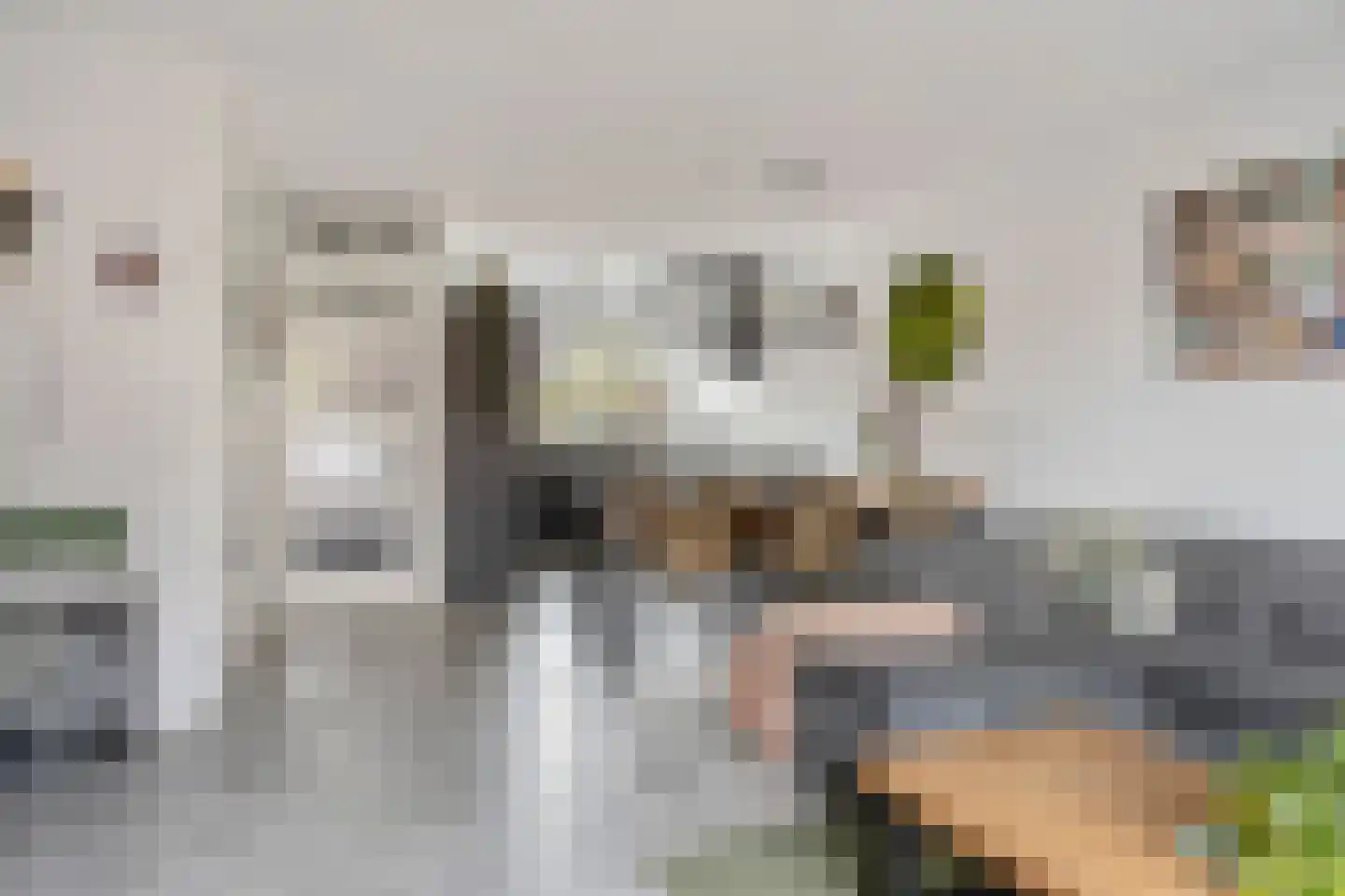 Maaslandsingel 21 Etten-Leur thumbnail 16