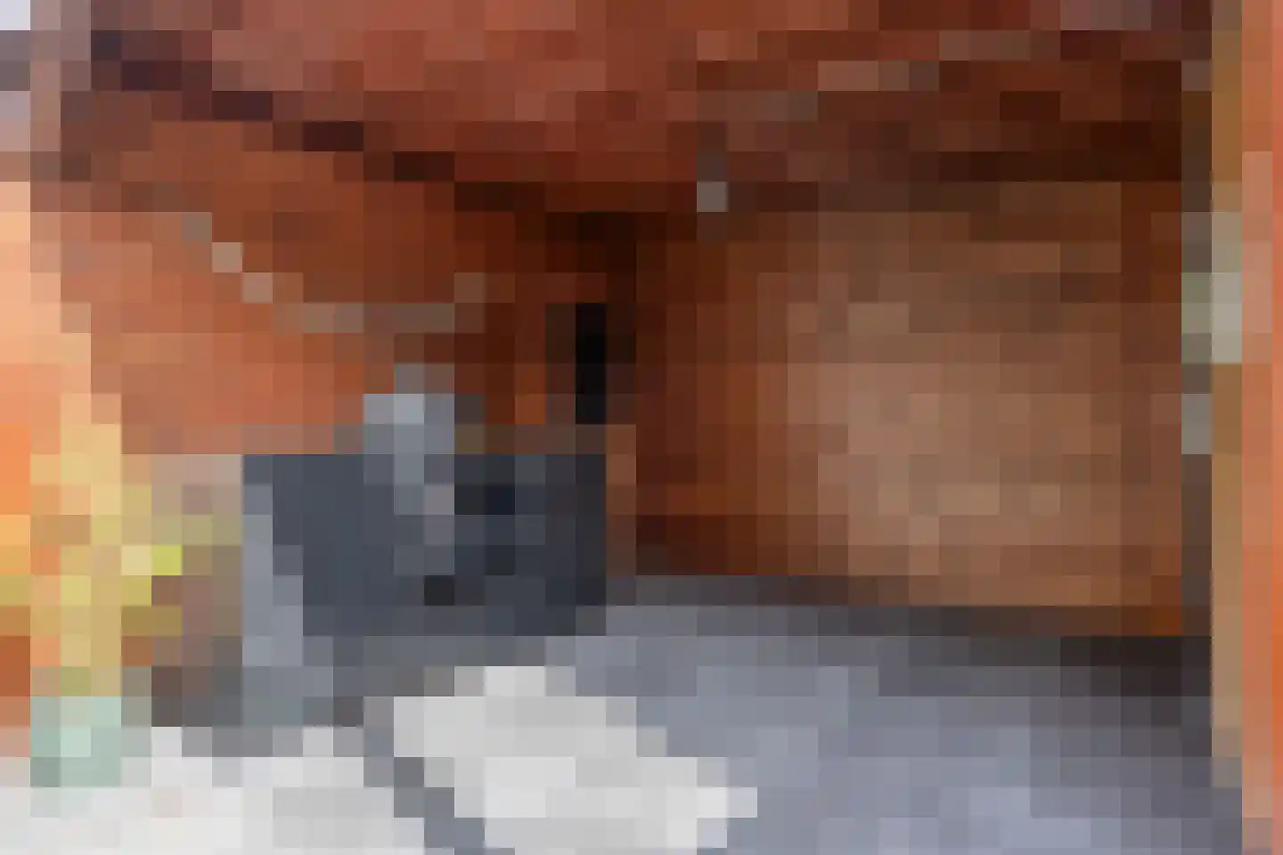 Maaslandsingel 21 Etten-Leur thumbnail 25