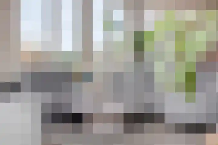 Maaslandstraat 40 Horn thumbnail 10