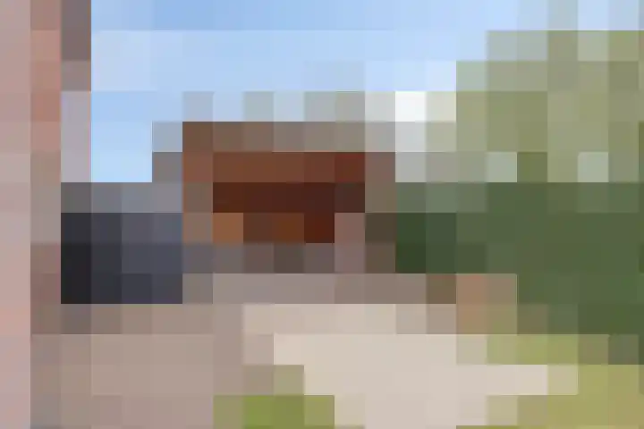 Maaslandstraat 40 Horn thumbnail 43