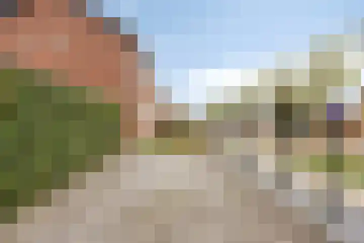 Maaslandstraat 40 Horn thumbnail 52