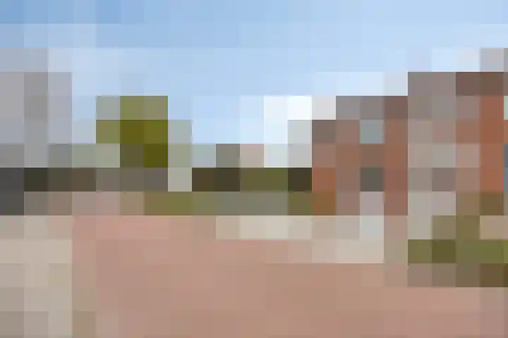 Maaslandstraat 40 Horn thumbnail 54