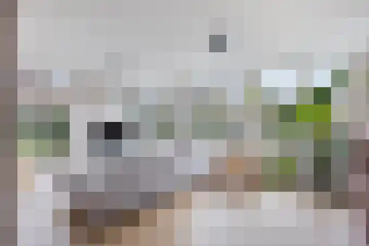 Maaslandstraat 40 Horn thumbnail 7