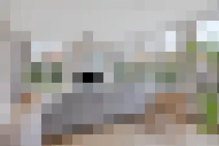 Maaslandstraat 40 Horn thumbnail 8