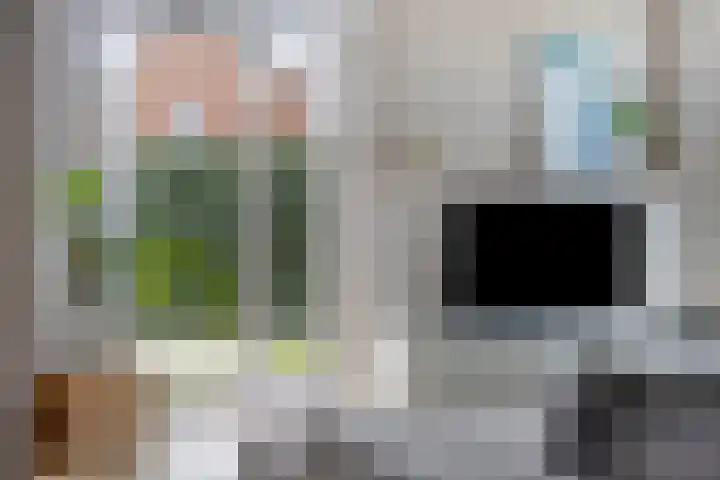 Maaslandstraat 40 Horn thumbnail 9