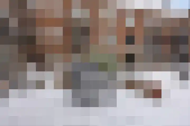 Maaslandstraat 6 's-Hertogenbosch thumbnail 14