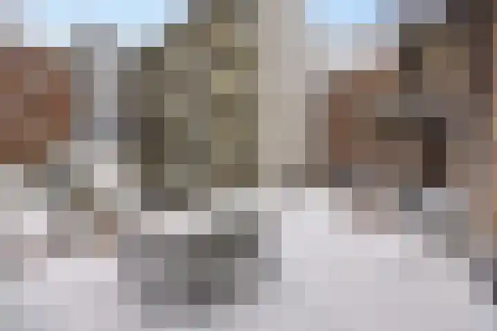 Maaslandstraat 6 's-Hertogenbosch thumbnail 15