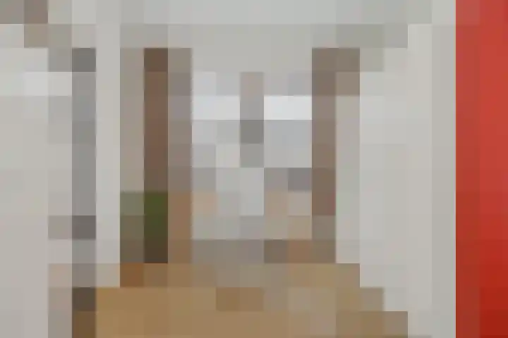 Maaslandstraat 6 's-Hertogenbosch thumbnail 20