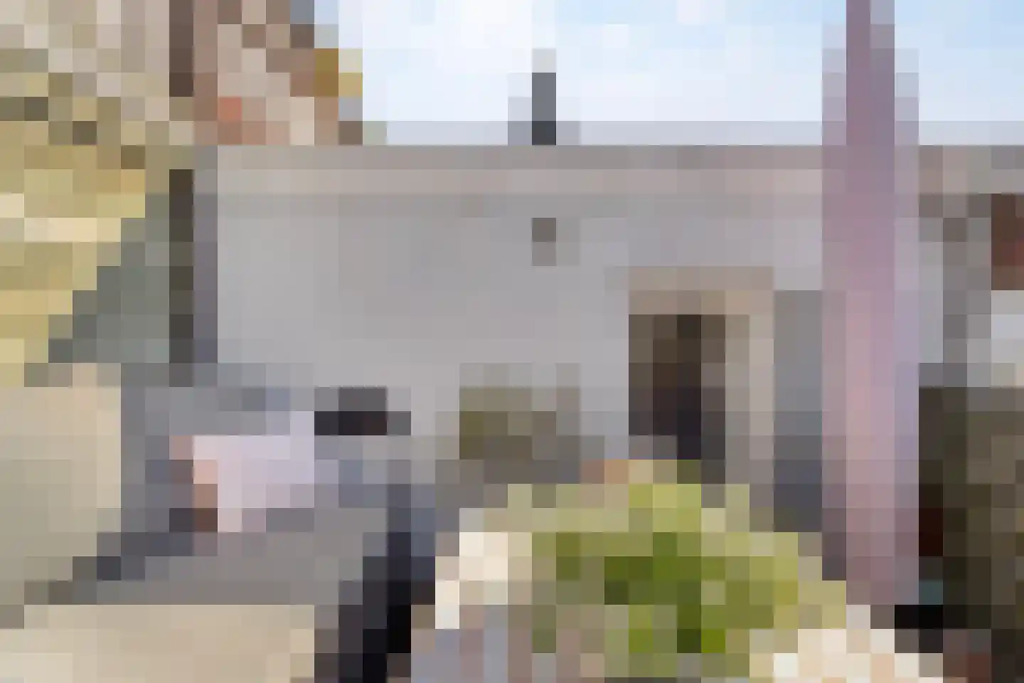 Maaslandstraat 9 's-Hertogenbosch thumbnail 4