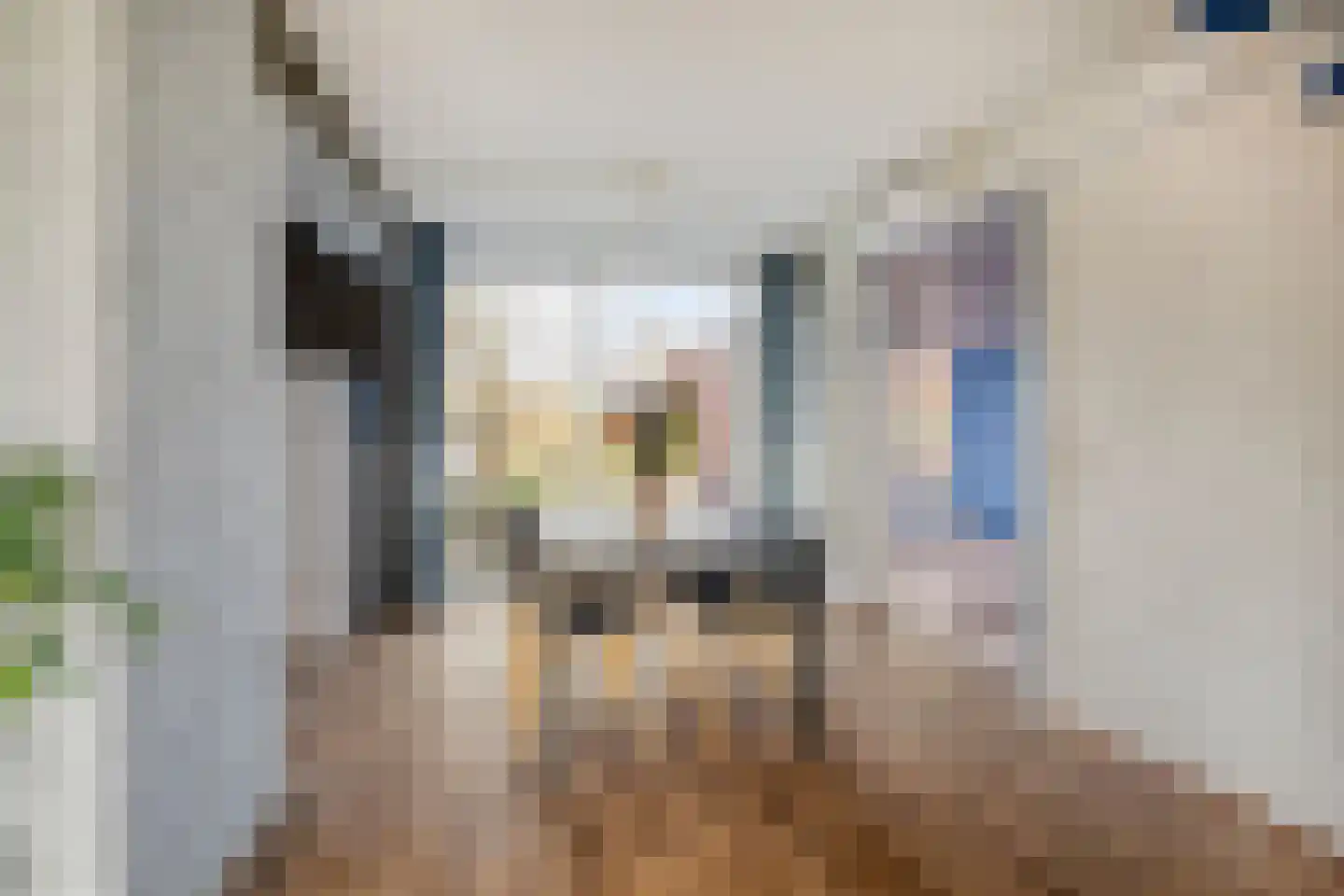 Maasoord 11 Woerden thumbnail 11
