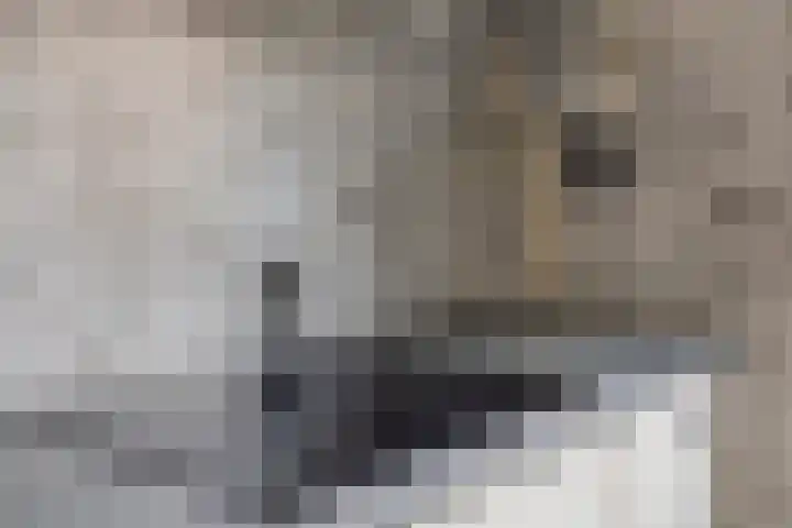 Maasoord 11 Woerden thumbnail 14
