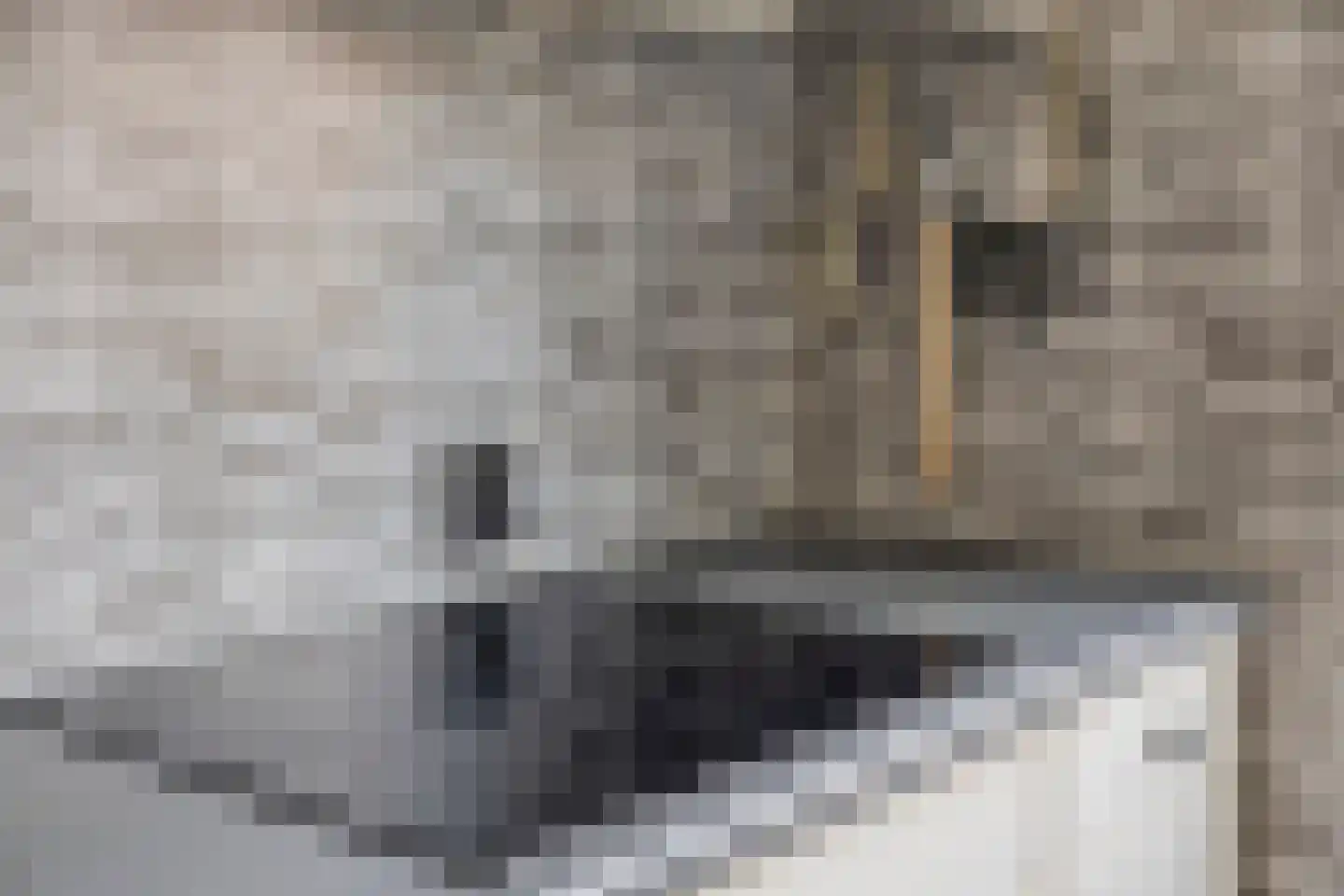 Maasoord 11 Woerden thumbnail 14