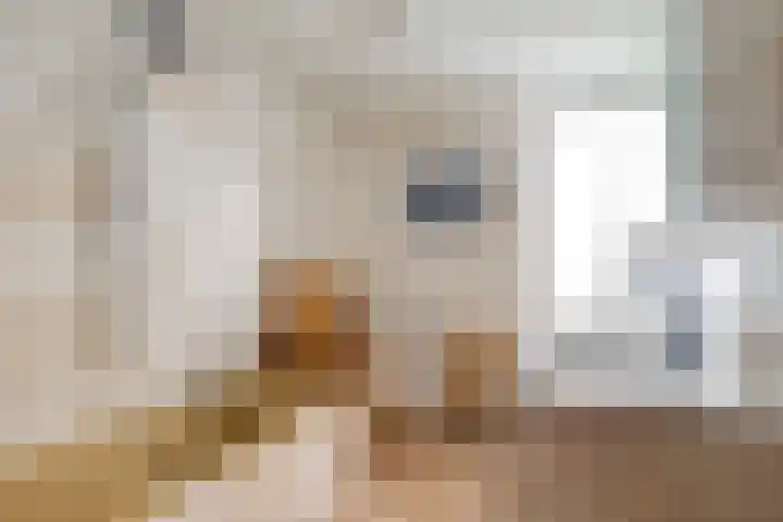 Maasoord 11 Woerden thumbnail 25