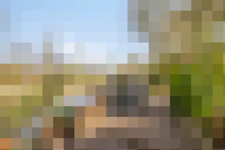 Maasoord 11 Woerden thumbnail 38